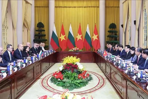 An overview of the talks between Vietnamese State President Luong Cuong and Bulgarian President Rumen Radev in Hanoi on November 25. (Photo: VNA)