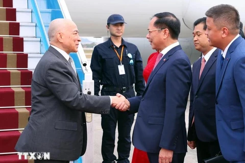 Cambodian King Preah Bat Samdech Preah Boromneath Norodom Sihamoni (L) arrives in Hanoi on November 28 morning, beginning his two-day state visit to Vietnam. (Photo: VNA)