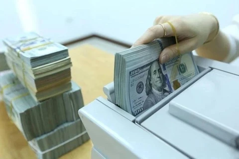 The daily reference exchange rate for the US dollar is set at 24,271 VND/USD on November 28. (Photo: VNA)