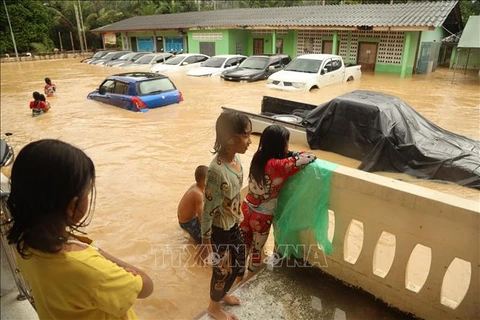 Flooding in Narathiwat province of Thailand (Photo: Xinhua/VNA)