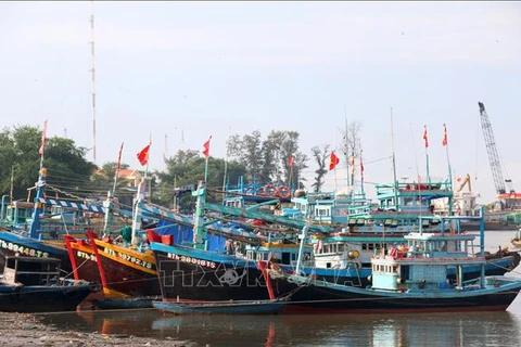 Fishing vessels dock at an estuary (Photo: VNA)