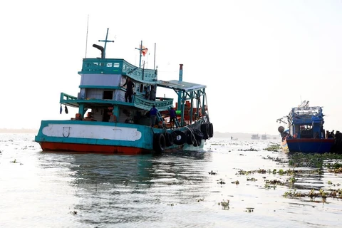 Fishing vessels operate in an estuary of An Bien district, Kien Giang province. (Photo: VNA)