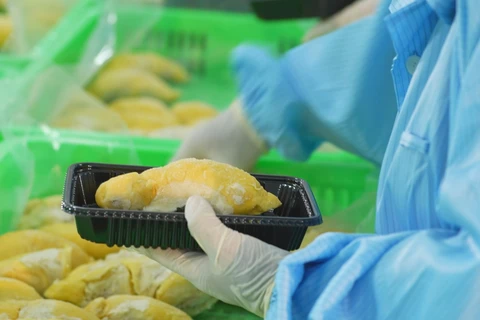 Durian exports to top 3 billion USD in 2024