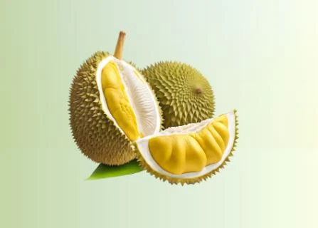 Frozen durian cleared for official export to China