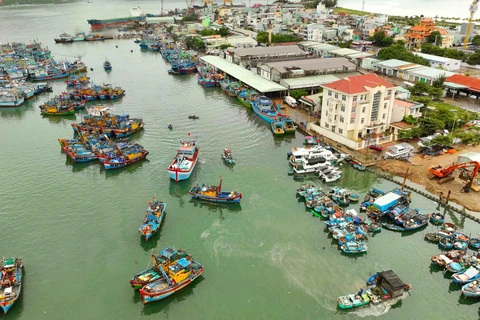 Fishing vessels in the central province of Binh Dinh. (Photo: VNA)