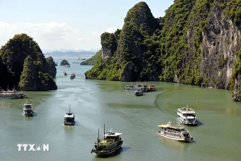 Ha Long Bay welcomes 6,000 visitors after typhoon