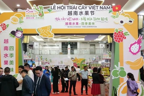 First Vietnam fruit festival opens in China