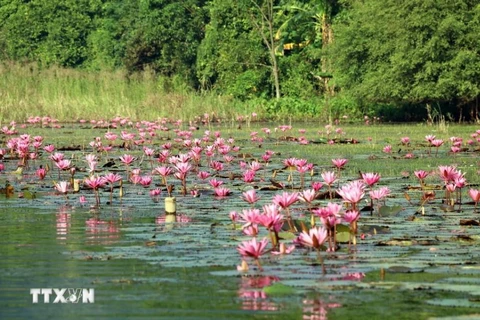 Ninh Binh strives to build Trang An as center of “Millennium Heritage city” 