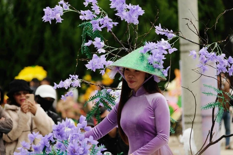 Recycled flower bicycles on display at Da Lat Flower Festival