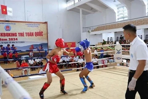 Los jóvenes compiten en el Campeonato Nacional de Kickboxing Infantil 2024. (Foto del equipo deportivo de Vietnam)