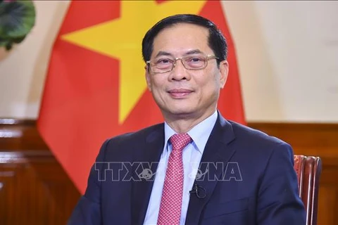 El ministro de Relaciones Exteriores de Vietnam, Bui Thanh Son. (Foto: VNA)