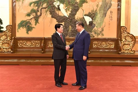 El miembro del Buró Político y permanente del Secretariado del Comité Central del PCV, Luong Cuong (izquierda), se reúne con el secretario general del PCCh y presidente de China, Xi Jinping. (Foto: VNA)