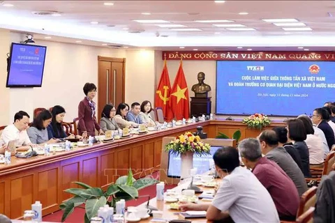 La directora general de la VNA, Vu Viet Trang, interviene en la reunión (Foto: VNA)