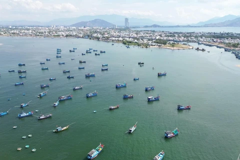 越南海洋被认为是自然资源丰富的海域，并在地区和世界上具有重要的经济、地缘政治、国防和安全地位。图自越通社 