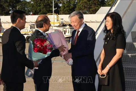 苏林总书记、国家主席和夫人抵达纽约，开始赴美出席未来峰会、第79届联合国大会一般性辩论和开展各项活动之行 图自越通社