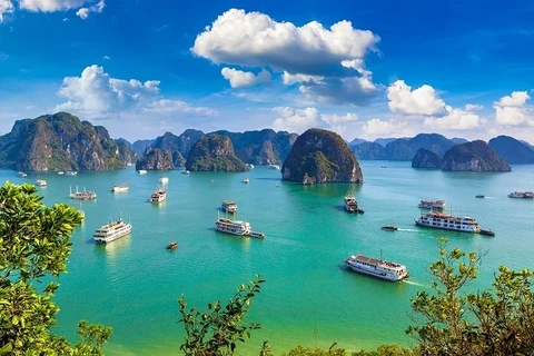 Baie d'Ha Long. Photo : journal Nhan Dan