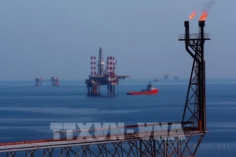 Sur le champ pétrolier de Bach Ho (Photo : VNA)