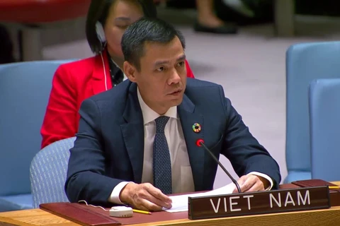 L'ambassadeur Dang Hoang Giang, représentant permanent du Vietnam auprès des Nations Unies (ONU). Photo : VNA