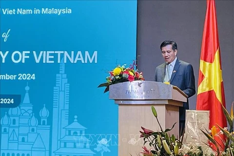 L'ambassadeur du Vietnam en Malalaisie Dinh Ngoc Linh. Photo : VNA