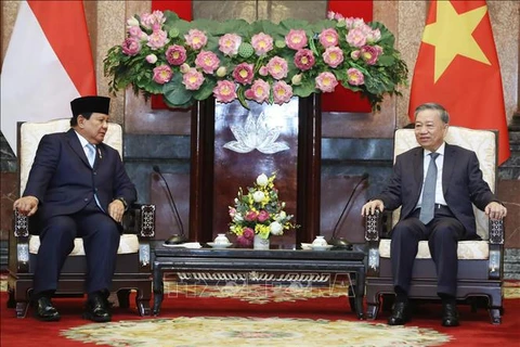 Le secrétaire général du Parti communiste et président du Vietnam, To Lam (droite) et le président élu de l'Indonésie, Prabowo Subianto, en visite de travail au Vietnam. Photo : VNA