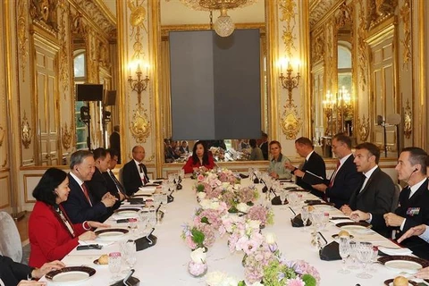 Lors de l'entretien entre le secrétaire général du Parti communiste du Vietnam et président de la République, Tô Lâm et le président français Emmanuel Macron. Photo : VNA