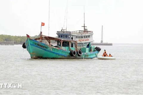 Provincias vietnamitas avanzan en lucha contra pesca ilegal