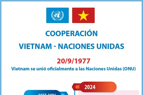 Vietnam y la ONU mantienen cooperación eficiente