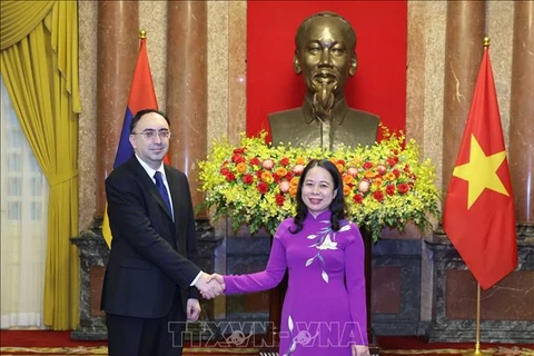 国家代主席武氏映春会见亚美尼亚驻越大使苏勒·巴格赫达萨良。图自越通社