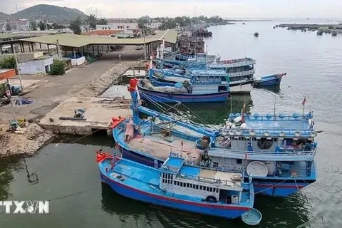 Khanh Hoa fait preuve d'une grande détermination dans la lutte contre la pêche INN