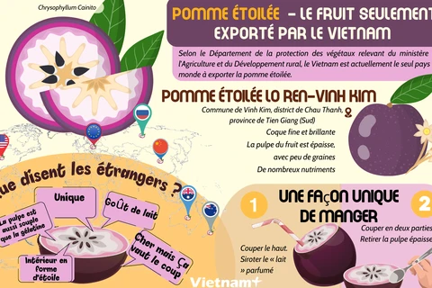 Pomme étoilée - le fruit seulement exporté par le Vietnam