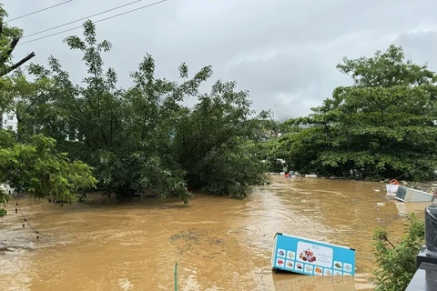 De fortes pluies prolongées ont entraîné une montée du niveau d'eau de la rivière Lo dans la province de Ha Giang, provoquant des inondations dans les maisons situées le long de la rivière et présentant un risque de noyade. Photo : VNA