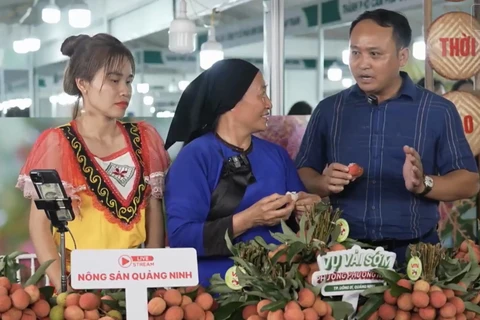 广宁省农民创建了自己的产品销售渠道，进行视频直播销售个人产品。图自广宁报