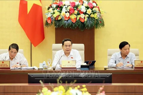 国会主席陈青敏在会议上发言。图自越通社