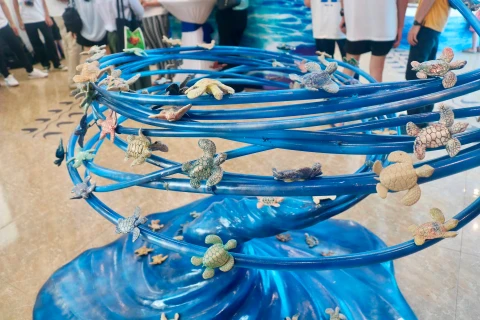 1001只陶瓷海龟展展示的作品。图自互联网