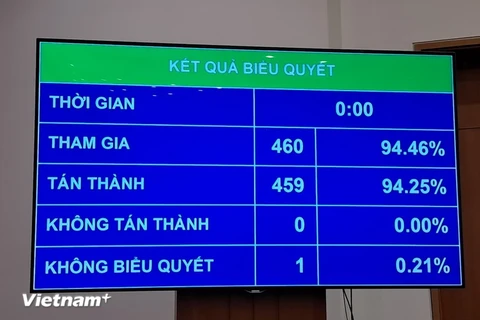 投票结果显示，在场的460名代表（占94.46%）中的459名投了赞成票（占比94.25%），反对票一票。图自vietnamplus