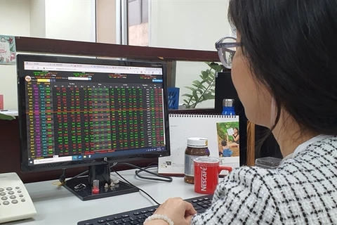 An investor watches stock movements on her computer. (Photo: VNA) 