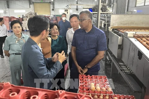 The Singaporean working delegation visits Ba Huan high-tech poultry farm in the Mekong Delta province of Long An. (Photo: VNA)