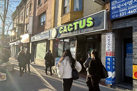 A Cactus shop introduces Vietnamese tea and coffee on a downtown street in Toronto, Canada. (Photo: VNA)