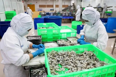 Workers process shrimp for export at Duyen Hai Economic Development Company in Ho Chi Minh City. (Photo: VNA)