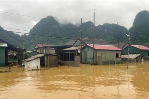 Houses in Tan Hoa commune, Minh Hoa district, Quang Bình province, submerged in water from 0.5 to 2m. (Photo thanhnien.vn) 