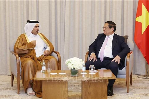 Prime Minister Pham Minh Chinh (R) and Saad bin Sherida Al Kaabi, Minister of State for Energy Affairs of Qatar and CEO of Qatar Energy. (Photo: VNA)