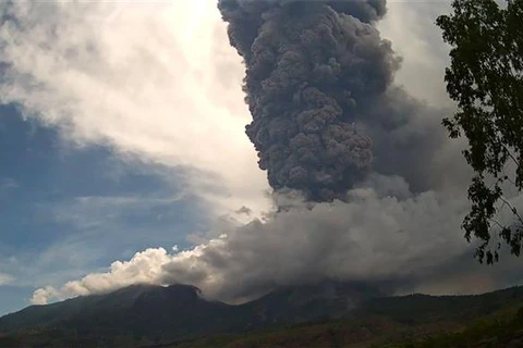 Mount Lewotobi Laki-Laki in eastern Indonesia erupts again on November 8. (Photo: Xinhua/VNA)