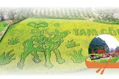 Ninh Binh Tourism Week 2024: The Yellow Colour of Tam Coc - Trang An
