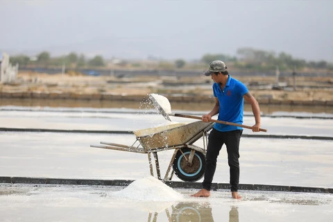 Traditional salt making in Ninh Thuan