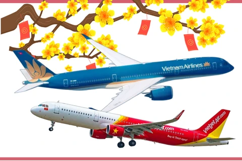 Airlines start selling early tickets for upcoming Tet Holiday