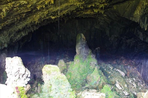 The Con Moong Cave is first excavated by Vietnamese archaeologists in 1976. (Photo: VNA)