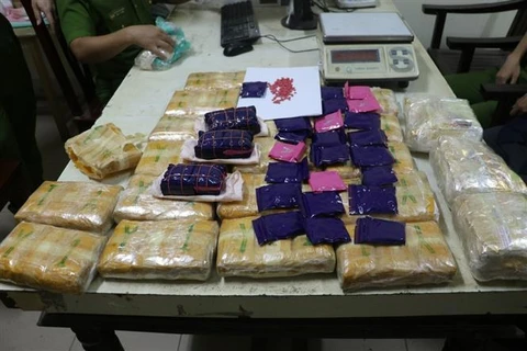 Nghe An busts drug trafficking ring from Laos to Vietnam (Photo: VNA)