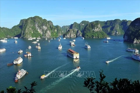 Quang Ninh, with its coastal advantages, has significant potential for developing green energy and renewable energy. - Illustrative image (Photo: VNA)