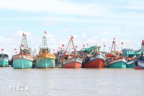 Bac Lieu has all of its fishing vessels of 15m long and above equipped with the VMS. - Illustrative image (Photo: VNA)