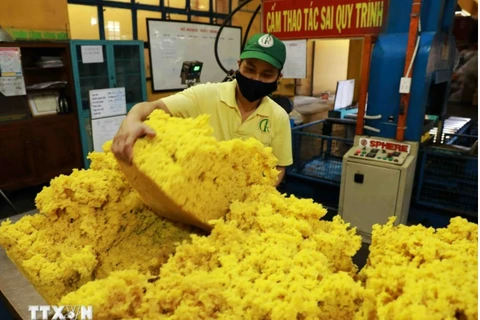 Processing rubber for export at Phu Rieng Company's factory. (Photo: VNA)